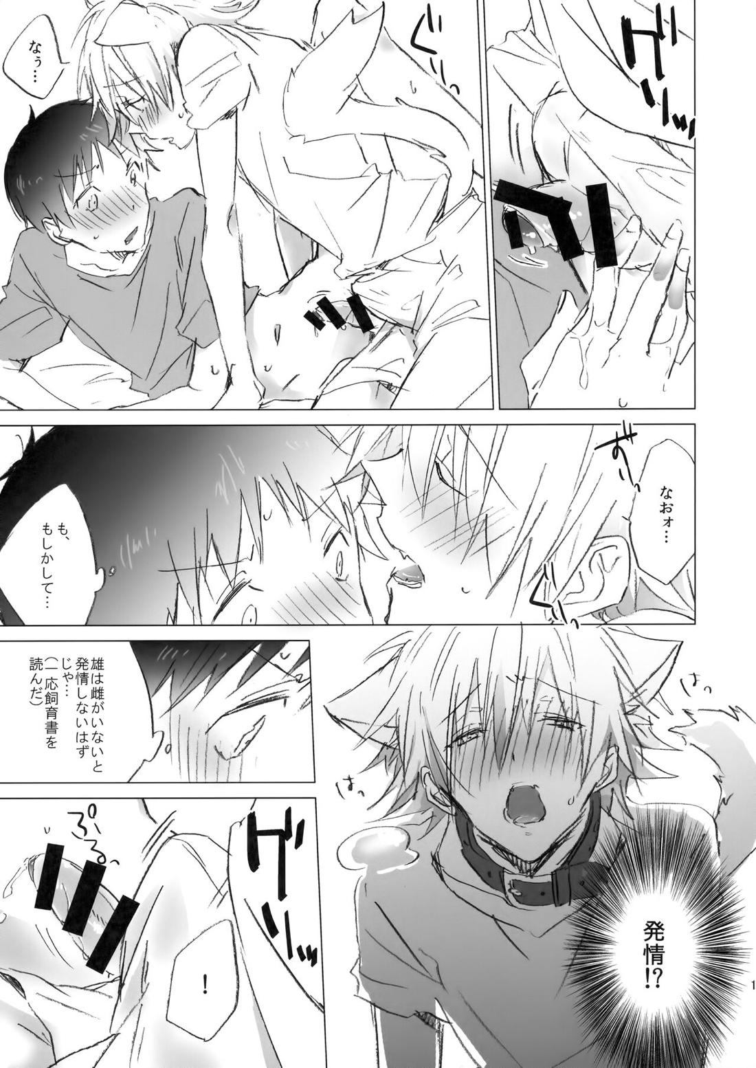 NECOKARE【新世紀エヴァンゲリオン/カヲシン】 page 14