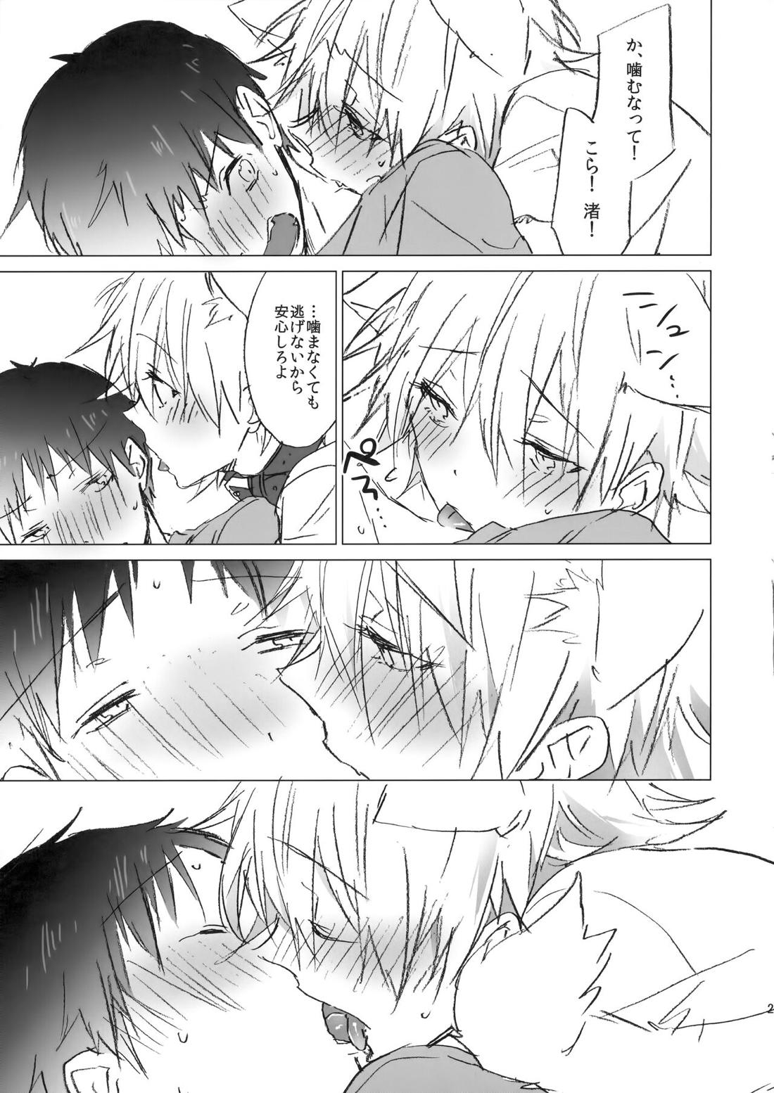 NECOKARE【新世紀エヴァンゲリオン/カヲシン】 page 26