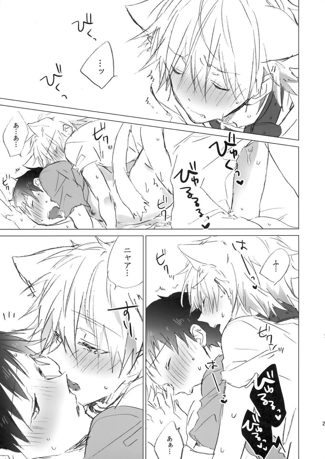 NECOKARE【新世紀エヴァンゲリオン/カヲシン】 page 28