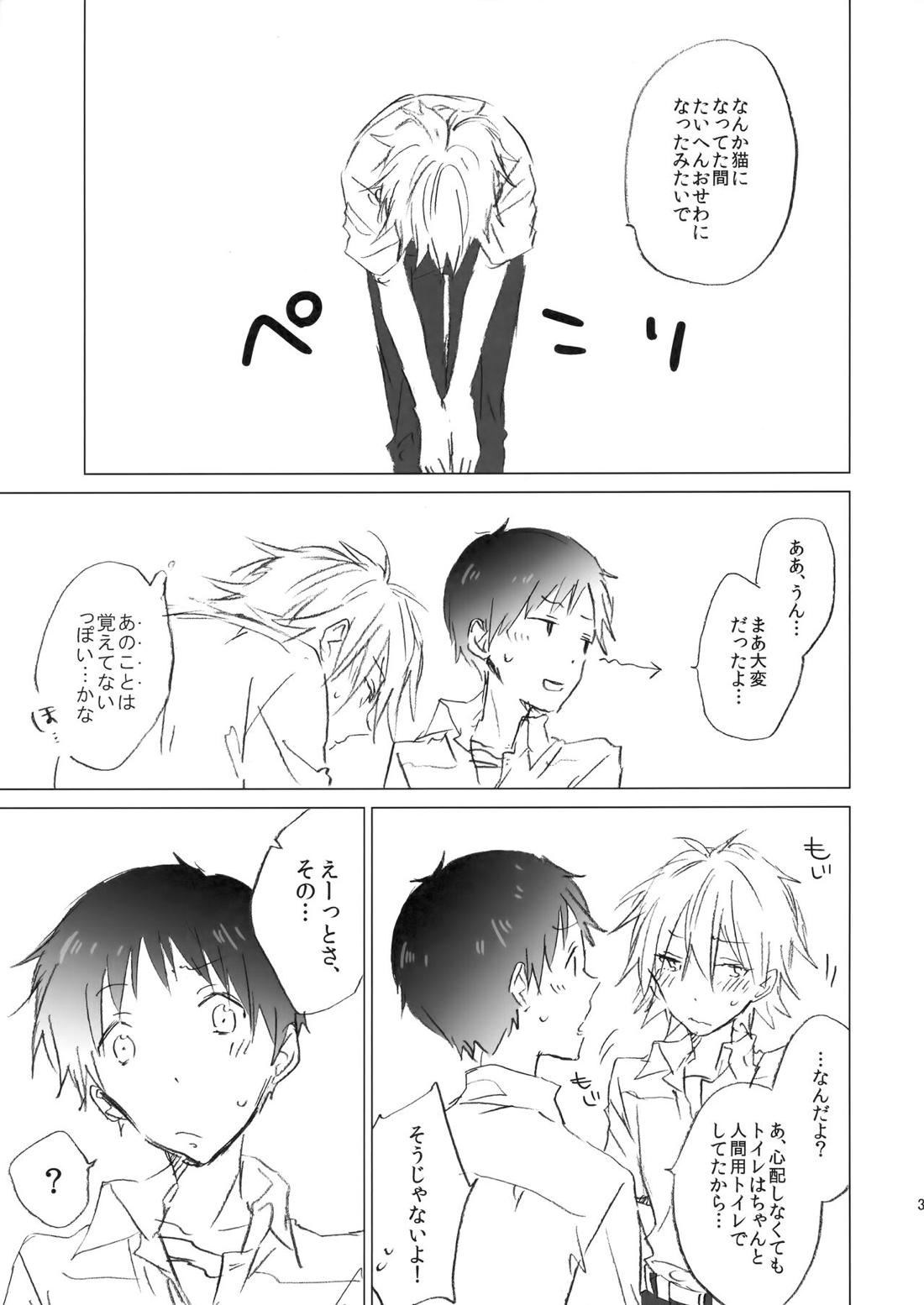 NECOKARE【新世紀エヴァンゲリオン/カヲシン】 page 30