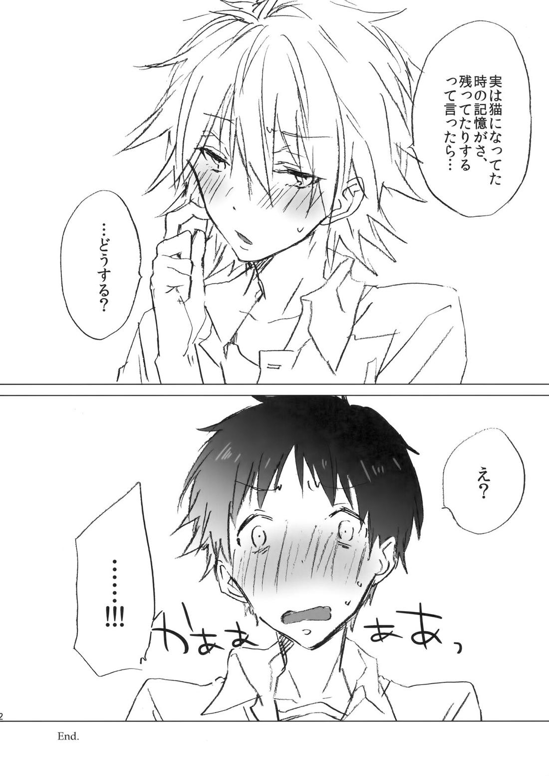 NECOKARE【新世紀エヴァンゲリオン/カヲシン】 page 31
