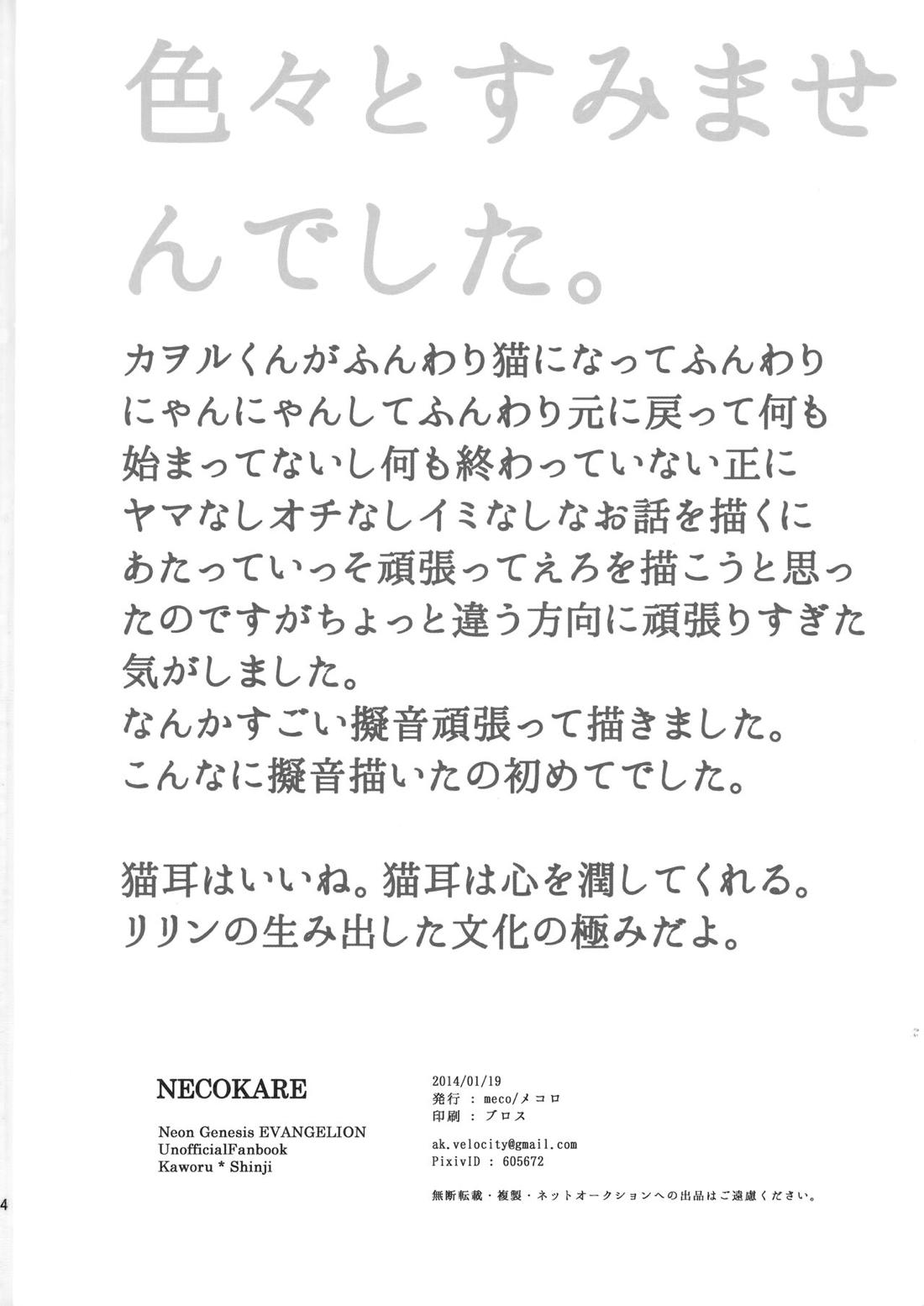 NECOKARE【新世紀エヴァンゲリオン/カヲシン】 page 33