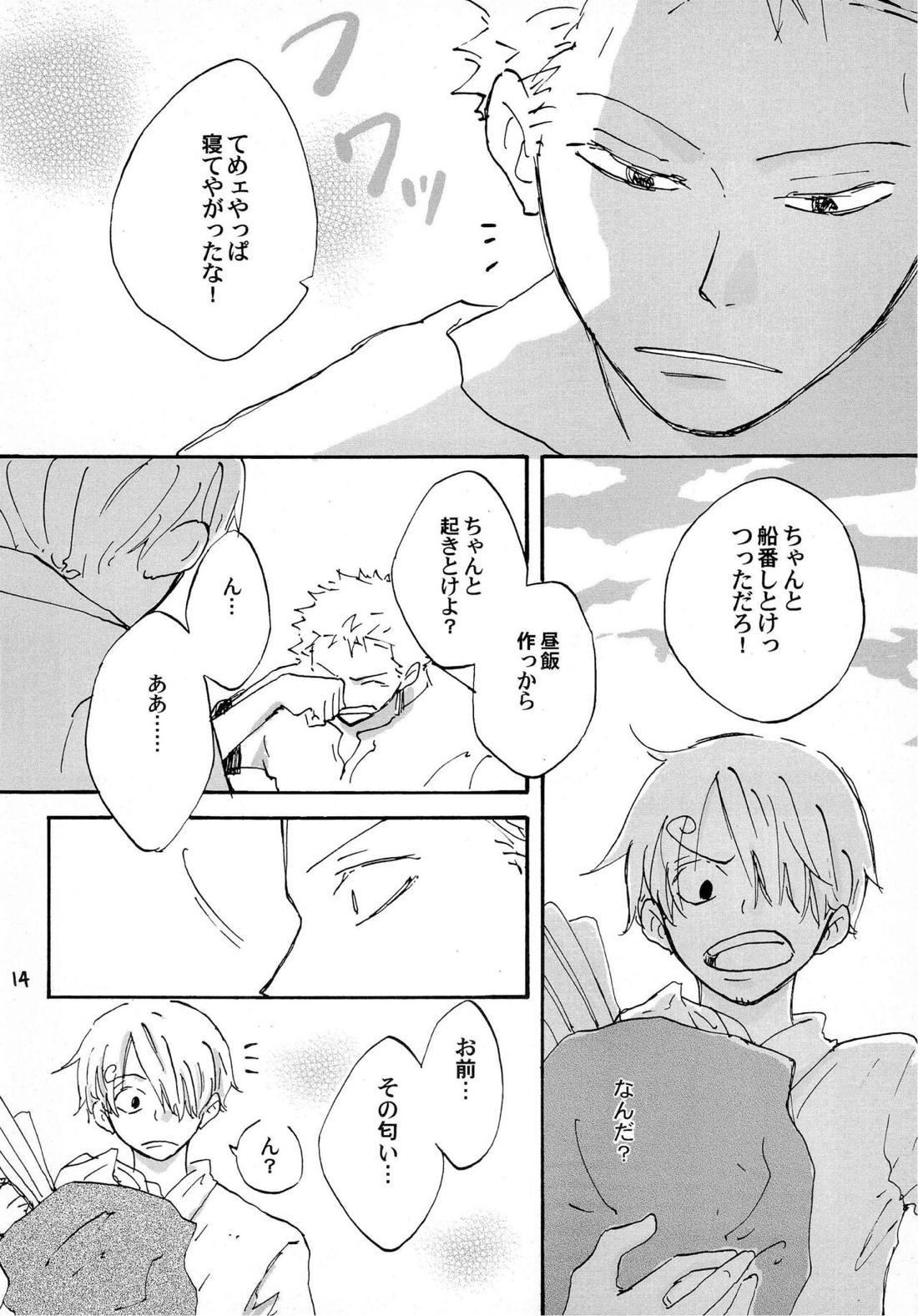天の真下【ONE PIECE/ゾロサン】 page 13