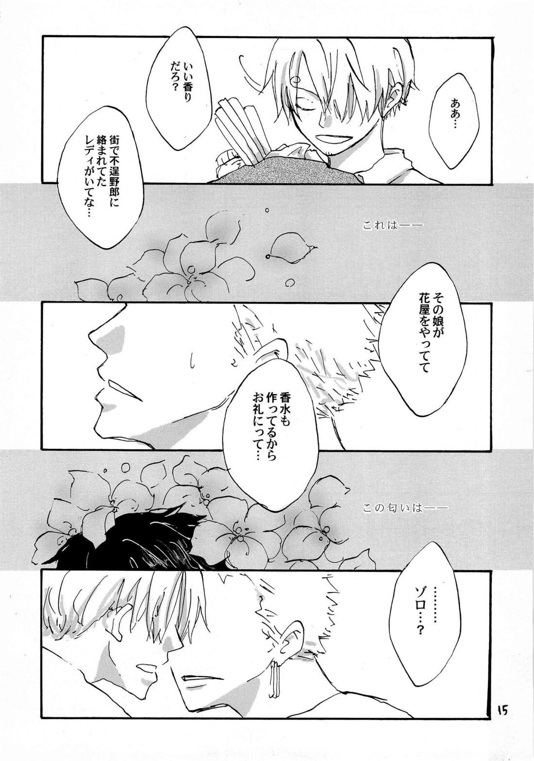 天の真下【ONE PIECE/ゾロサン】 page 14