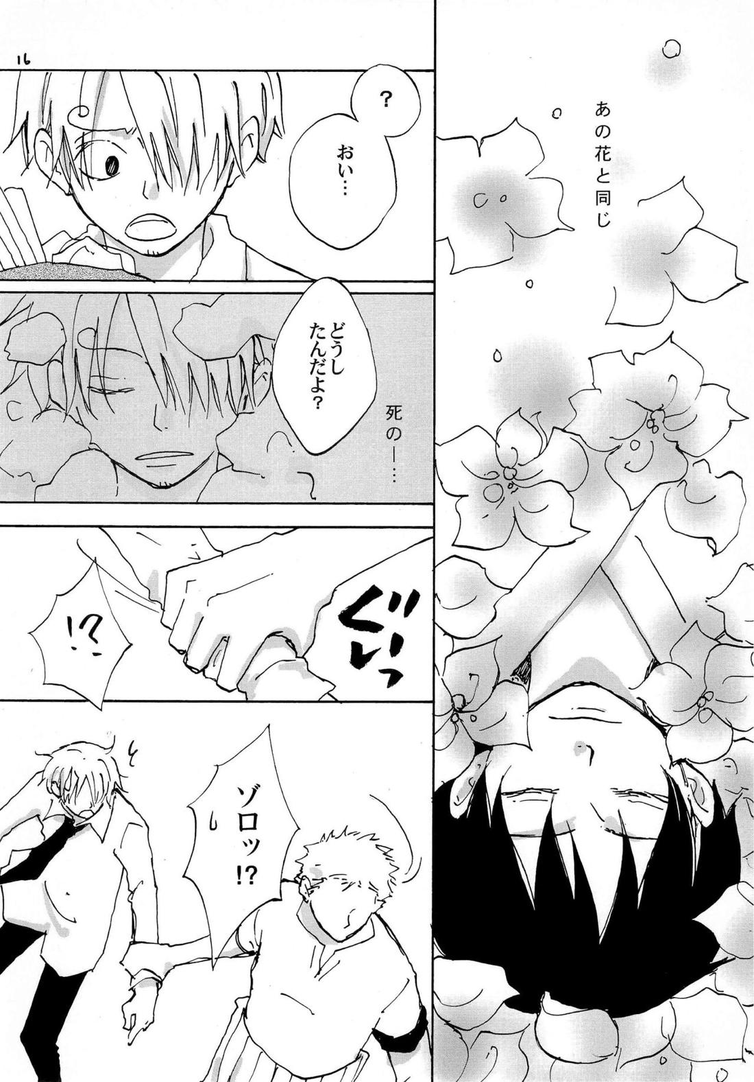 天の真下【ONE PIECE/ゾロサン】 page 15