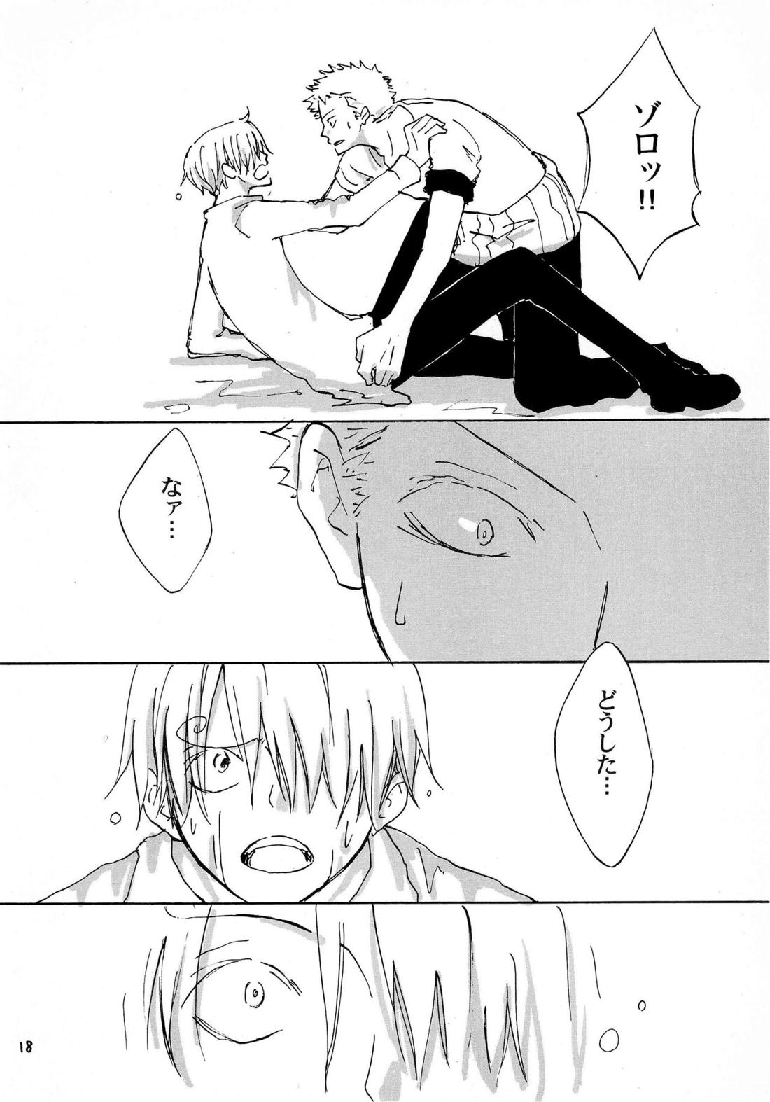 天の真下【ONE PIECE/ゾロサン】 page 17