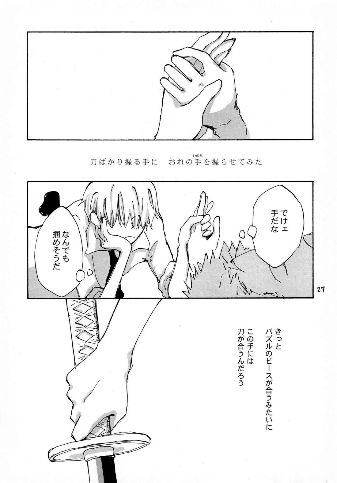 天の真下【ONE PIECE/ゾロサン】 page 26