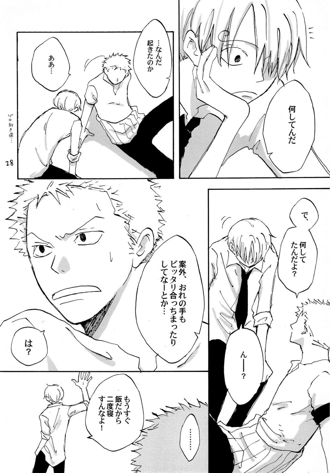 天の真下【ONE PIECE/ゾロサン】 page 27
