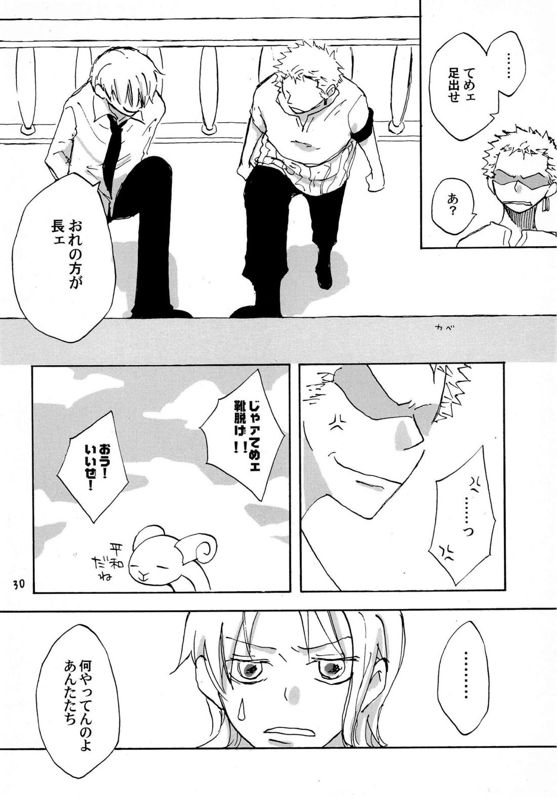 天の真下【ONE PIECE/ゾロサン】 page 29
