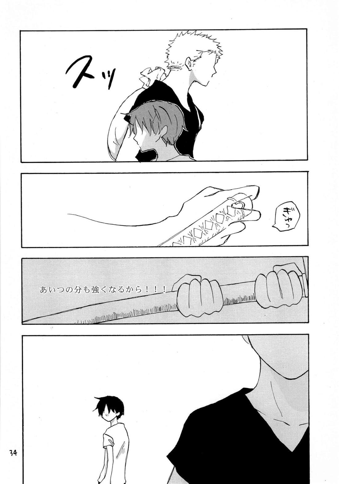 天の真下【ONE PIECE/ゾロサン】 page 33