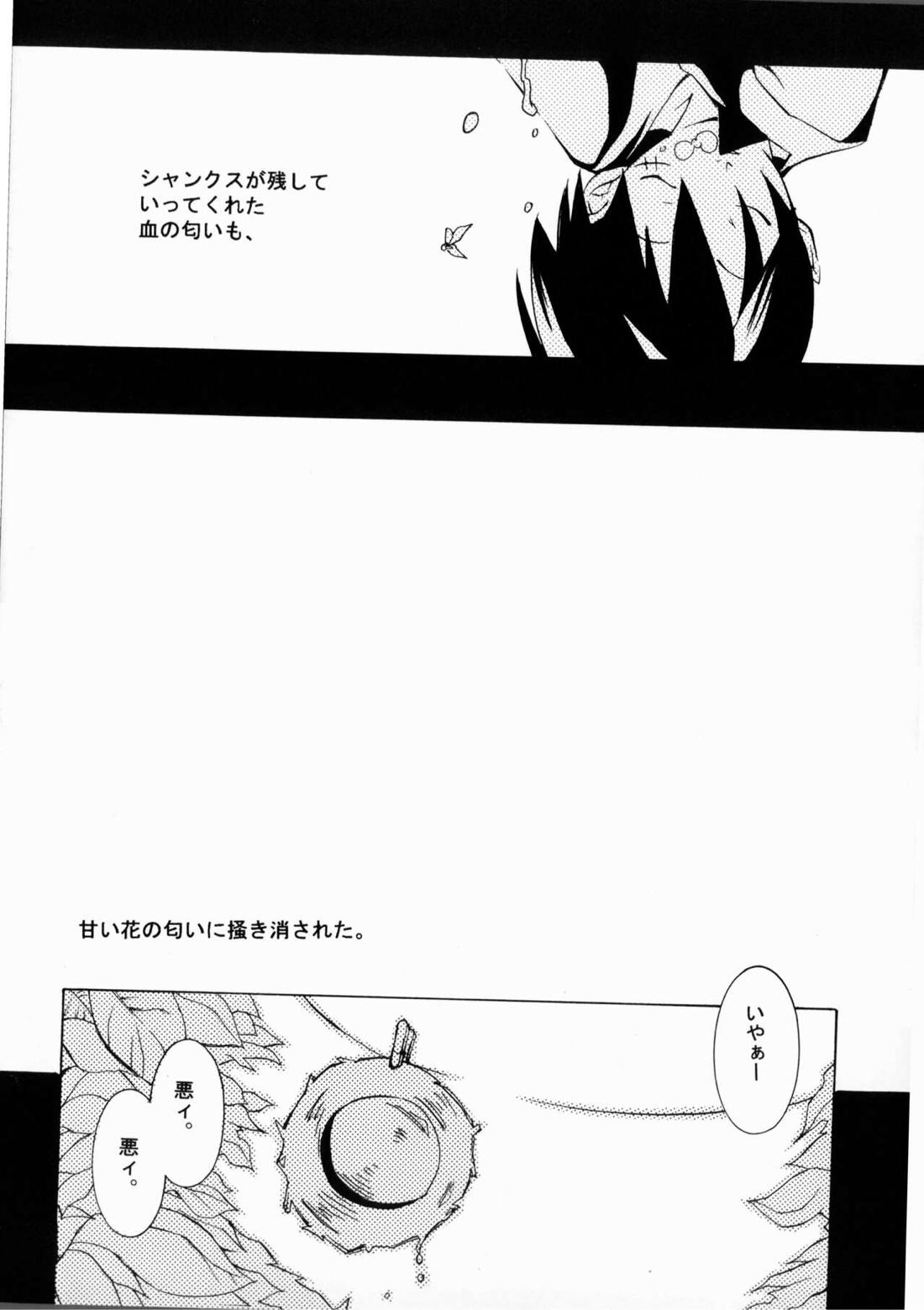 クルイバナ【ONE PIECE/ゾロル】 page 13