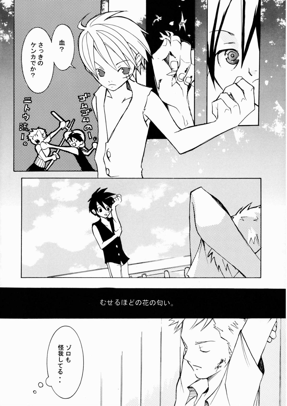 クルイバナ【ONE PIECE/ゾロル】 page 19
