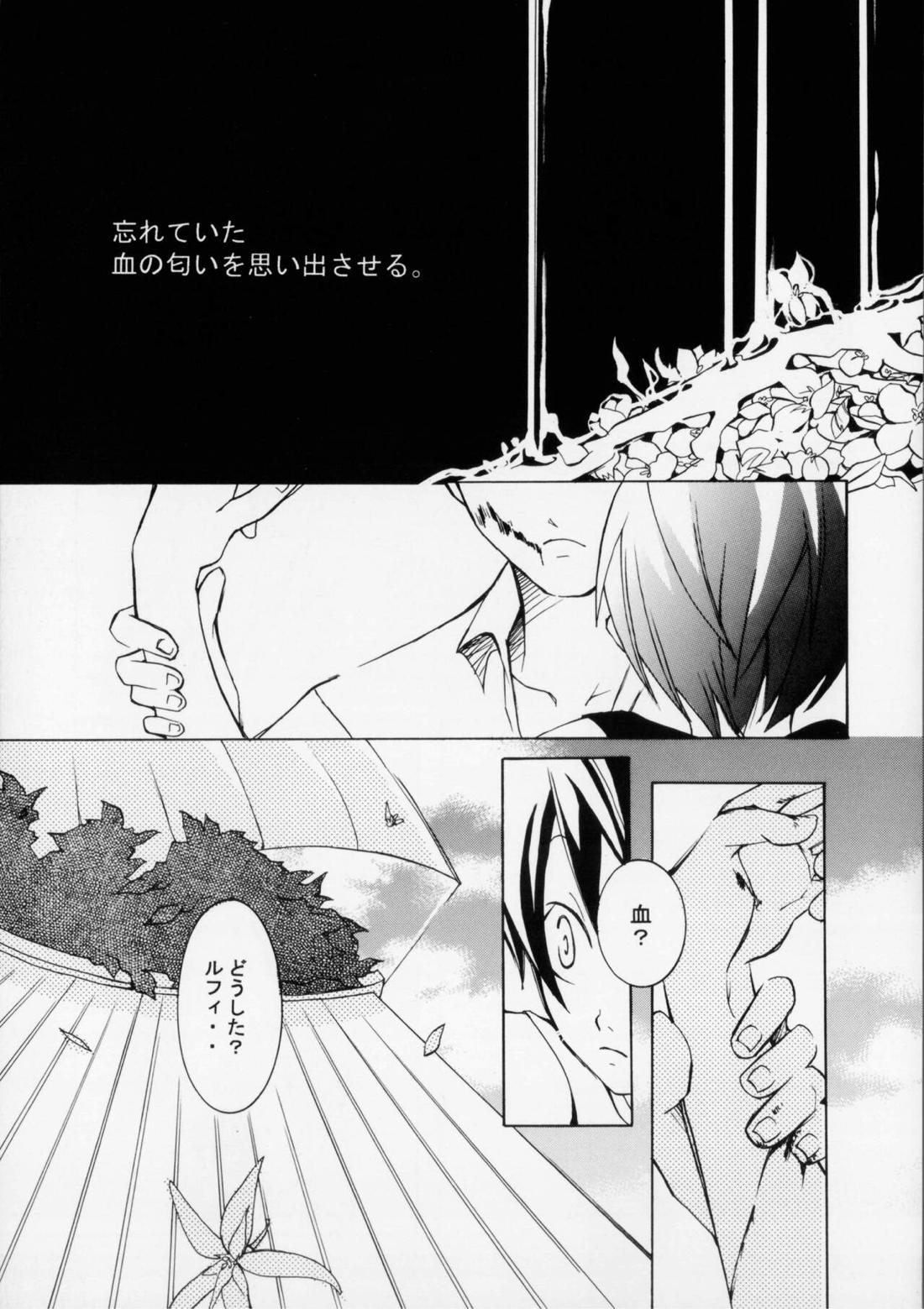 クルイバナ【ONE PIECE/ゾロル】 page 22