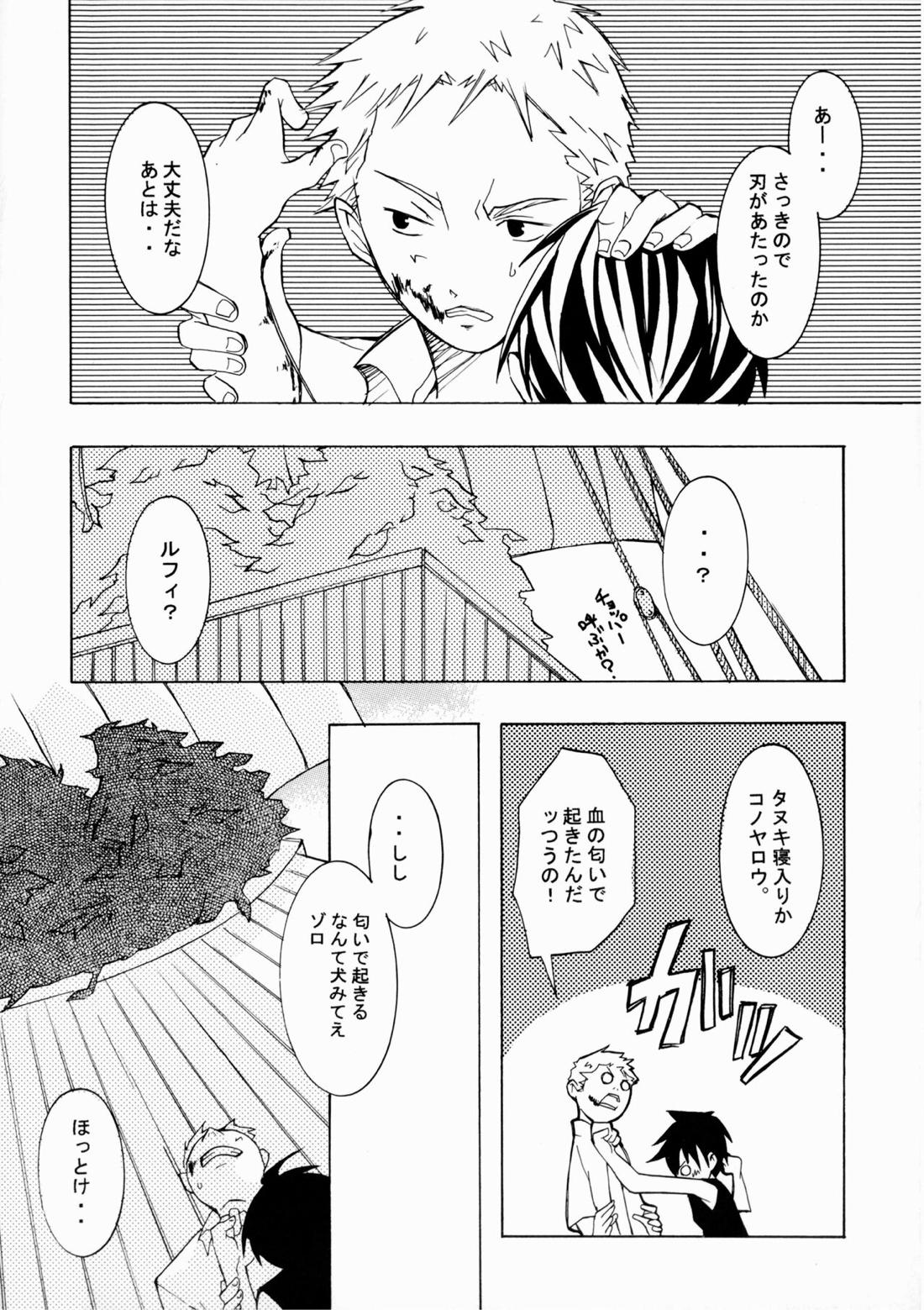 クルイバナ【ONE PIECE/ゾロル】 page 23
