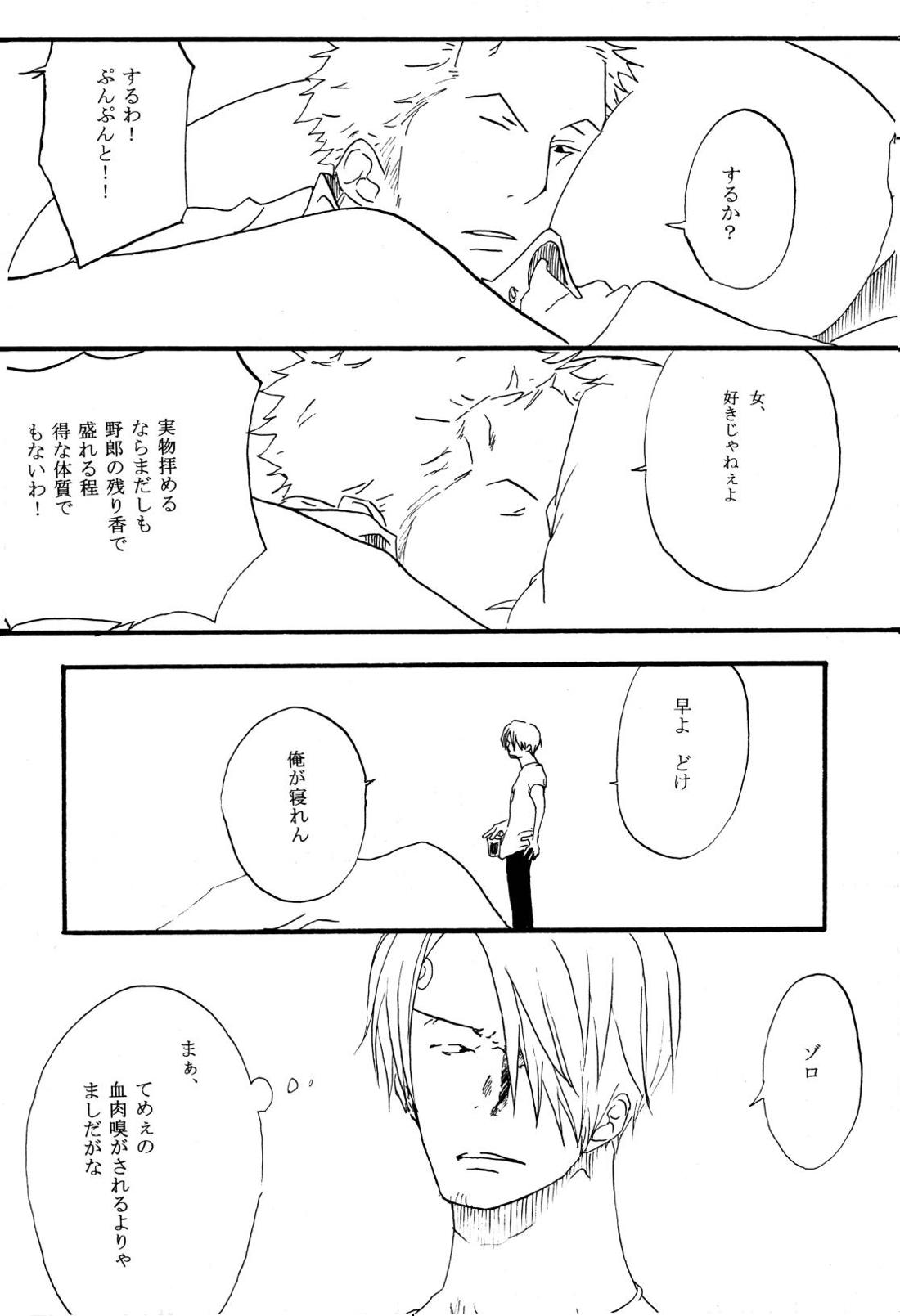 月の子【ONE PIECE/サンゾロ】 page 11