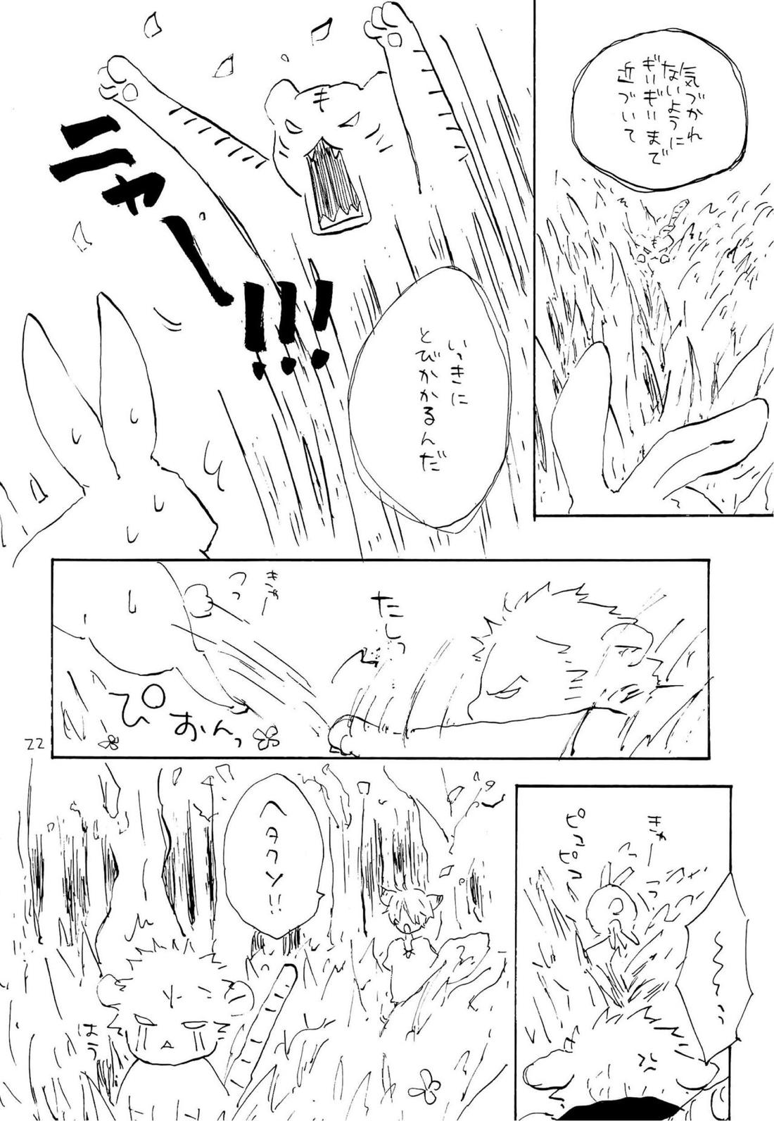 海の虹が沈む森【ONE PIECE/ゾロサン】 page 21