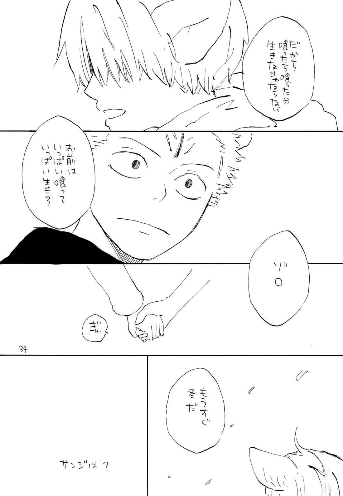 海の虹が沈む森【ONE PIECE/ゾロサン】 page 33