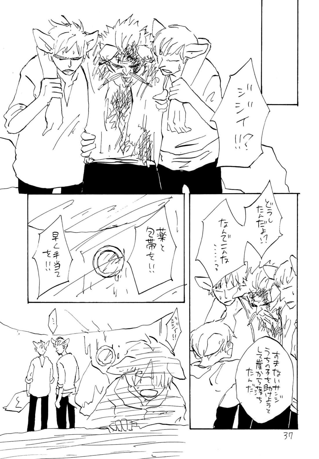海の虹が沈む森【ONE PIECE/ゾロサン】 page 35