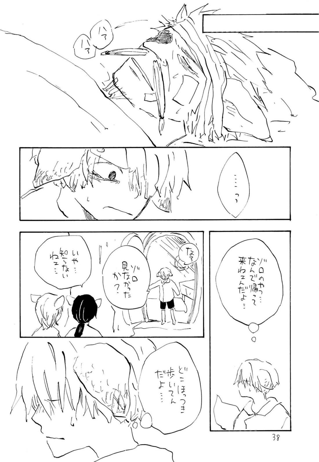 海の虹が沈む森【ONE PIECE/ゾロサン】 page 36