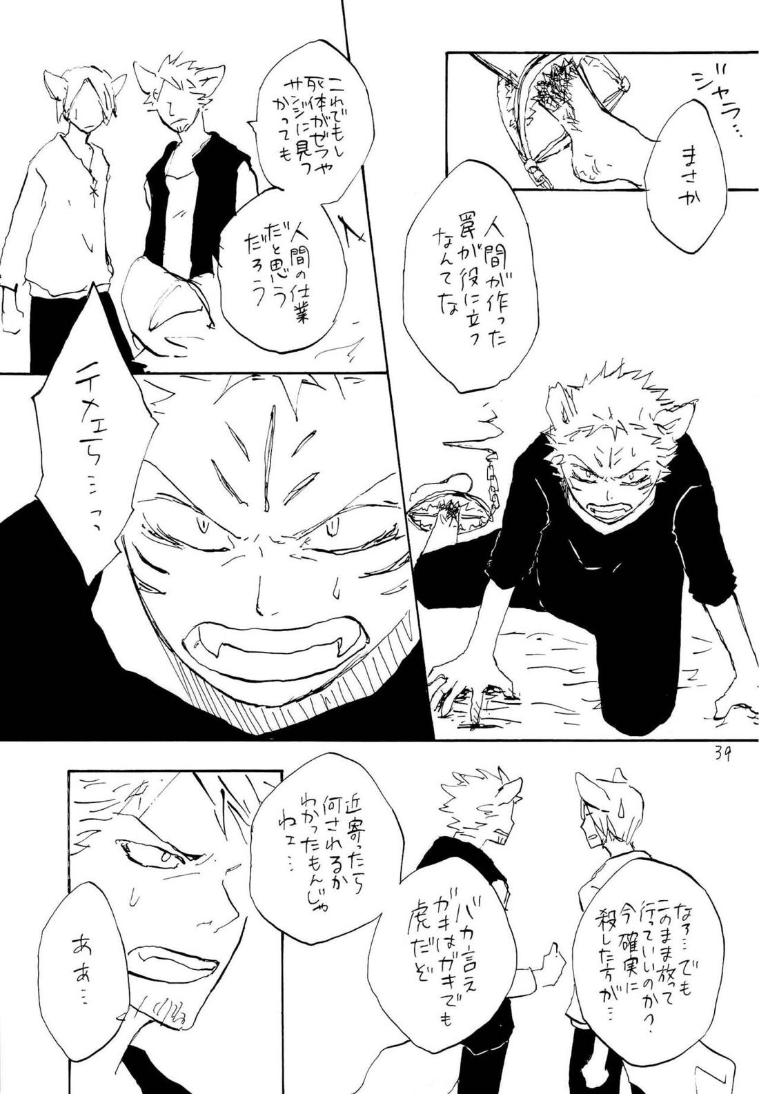 海の虹が沈む森【ONE PIECE/ゾロサン】 page 37