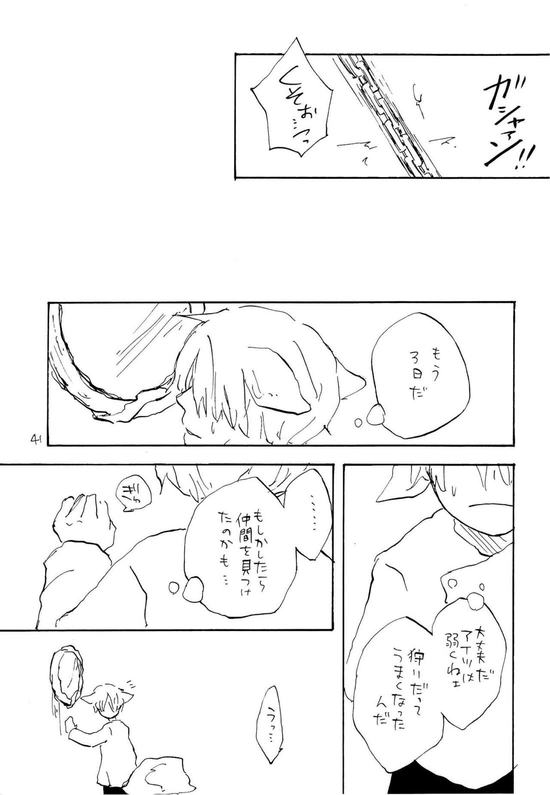 海の虹が沈む森【ONE PIECE/ゾロサン】 page 39