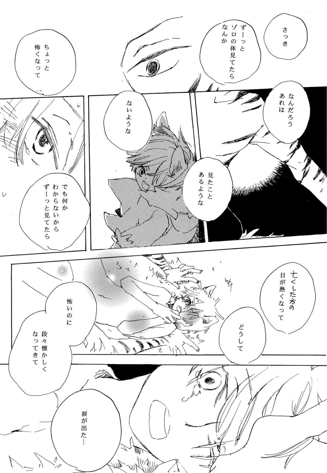 おとぎの森のとらきつね【ONE PIECE/ゾロサン】 page 23