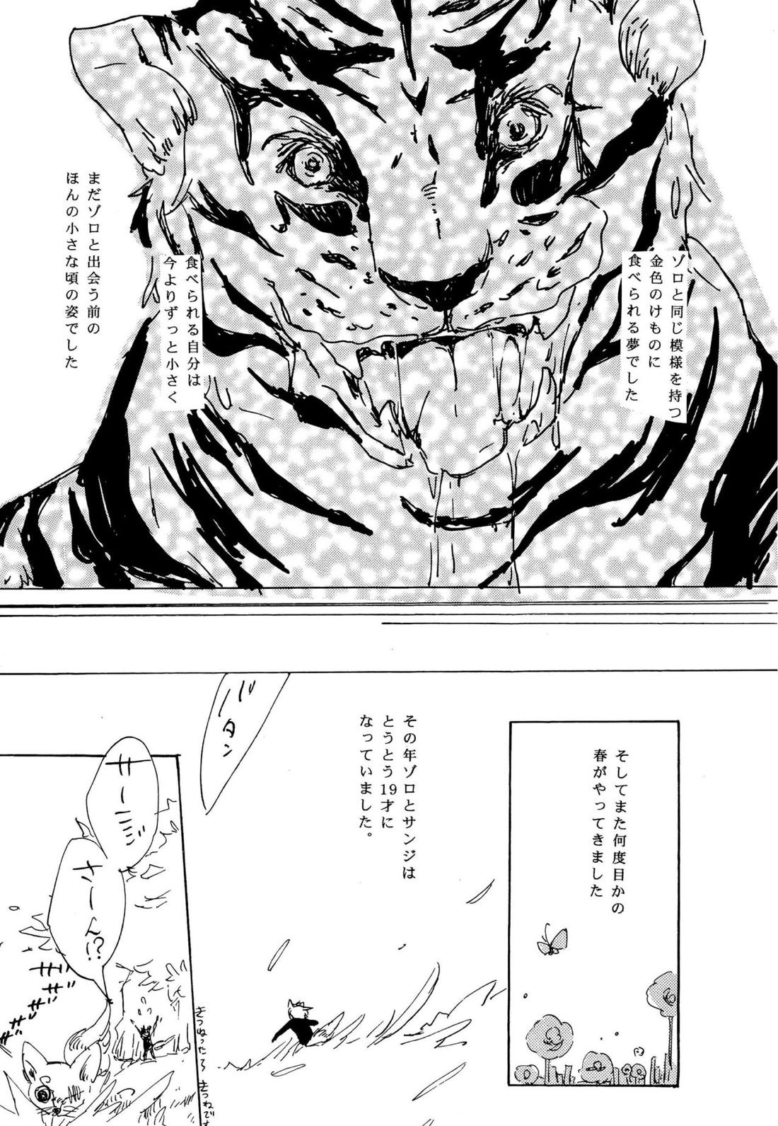 おとぎの森のとらきつね【ONE PIECE/ゾロサン】 page 25