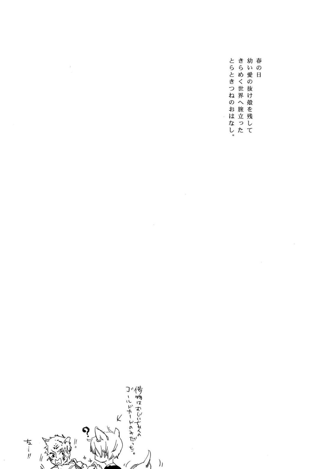 おとぎの森のとらきつね【ONE PIECE/ゾロサン】 page 28