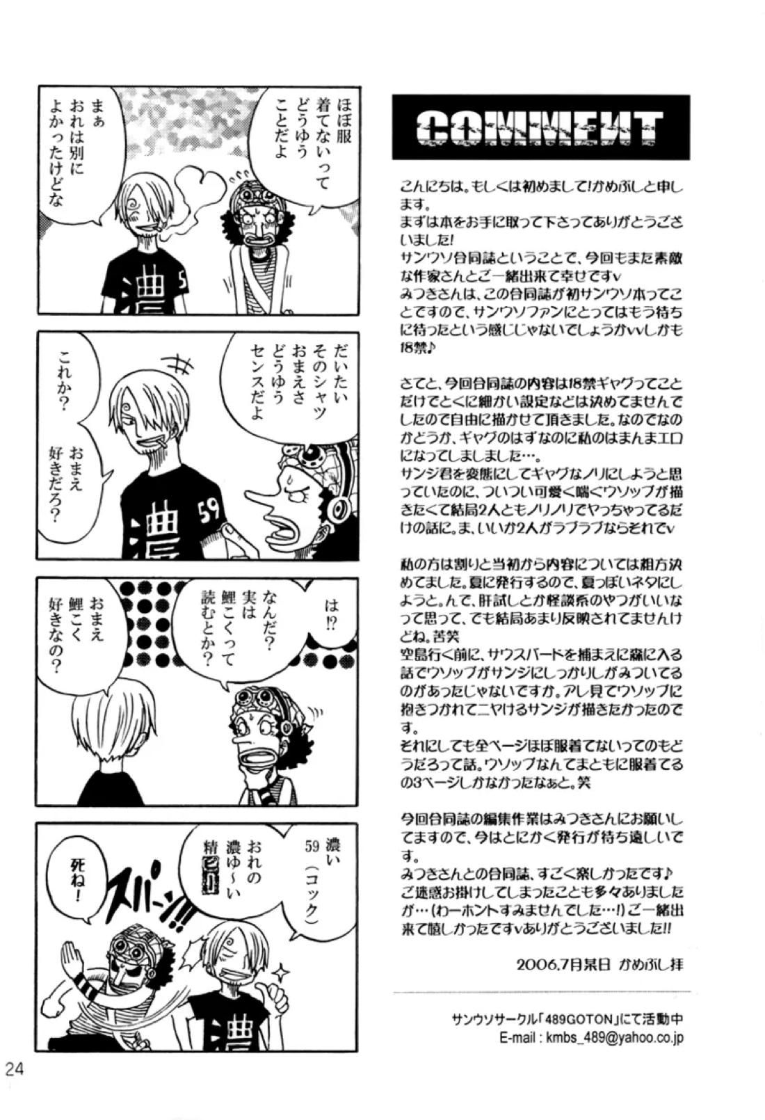 STRANGE RANGE【ONE PIECE/サンウソ】 page 23
