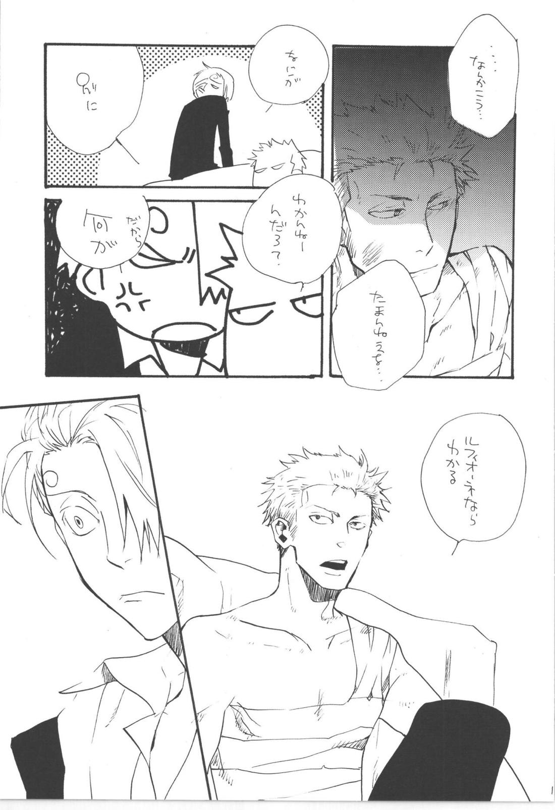 鈍色に光る刃【ONE PIECE/ゾロサン】 page 14