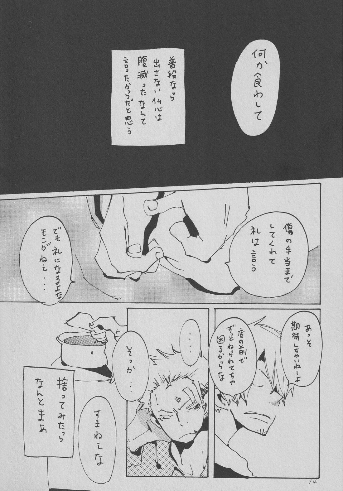 僕の虎おとこ【ONE PIECE/ゾロサン】 page 13