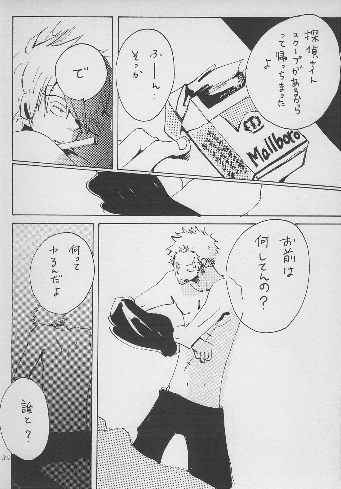 僕の虎おとこ【ONE PIECE/ゾロサン】 page 28