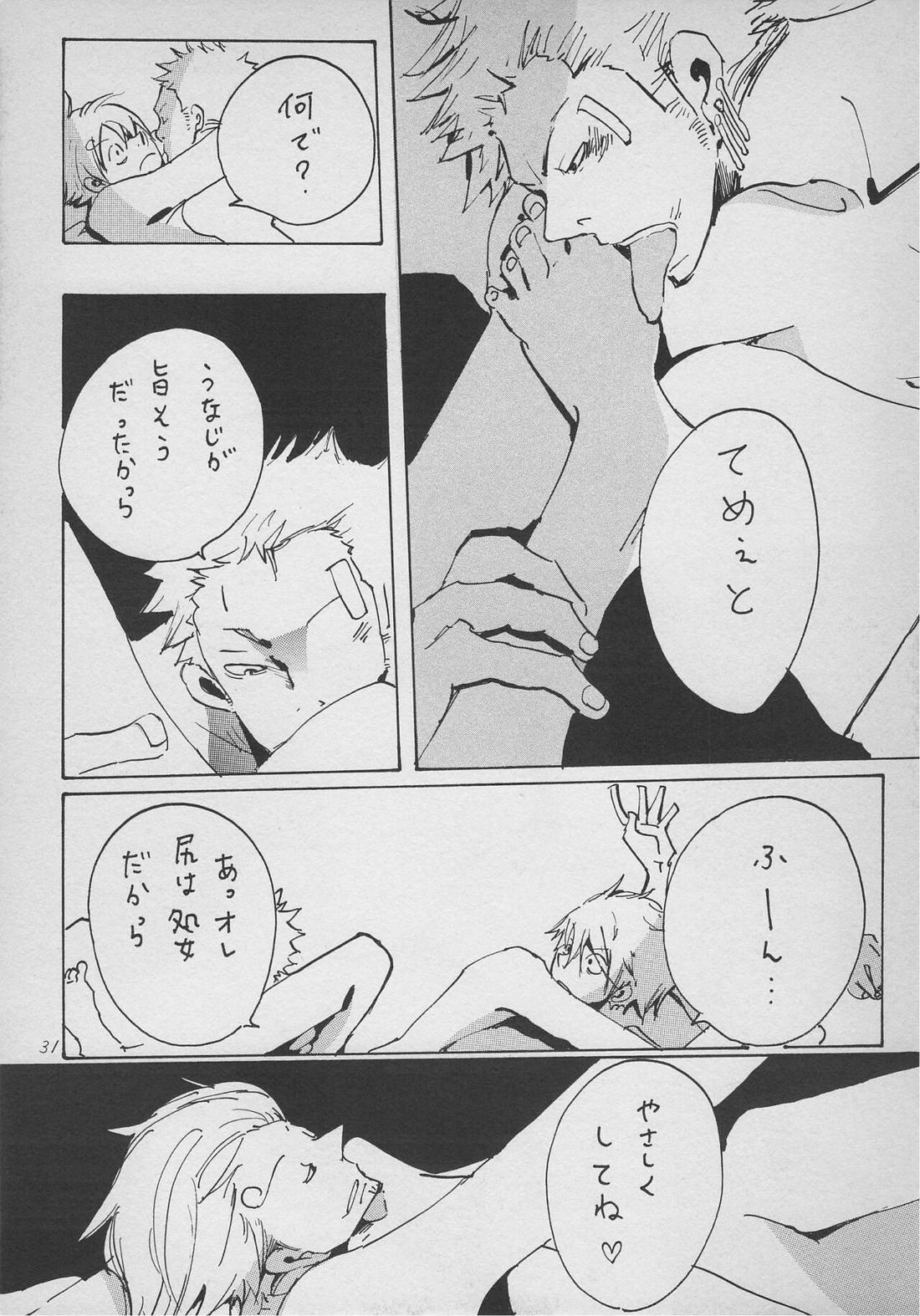 僕の虎おとこ【ONE PIECE/ゾロサン】 page 29