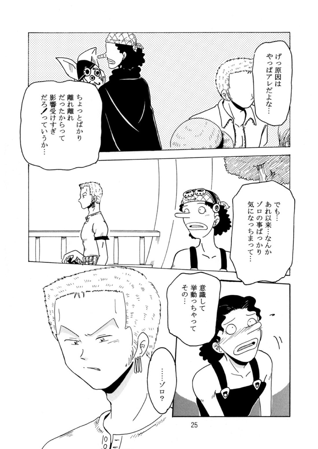 溺れる腕【ONE PIECE/ゾロウソ】 page 24