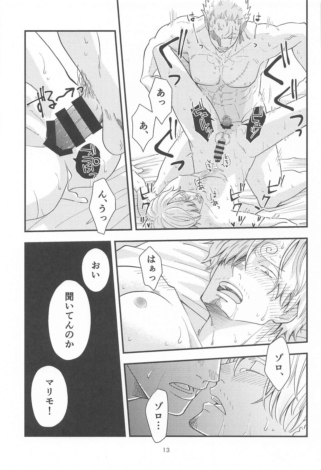 願い事なら星の数ほど【ONE PIECE/ゾロサン】 page 12