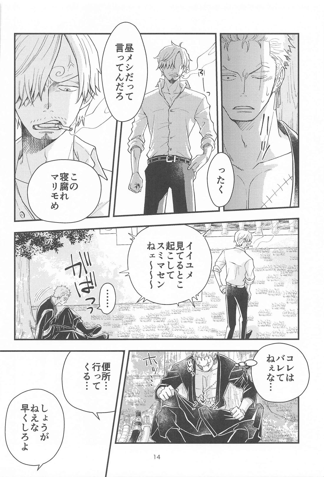 願い事なら星の数ほど【ONE PIECE/ゾロサン】 page 13
