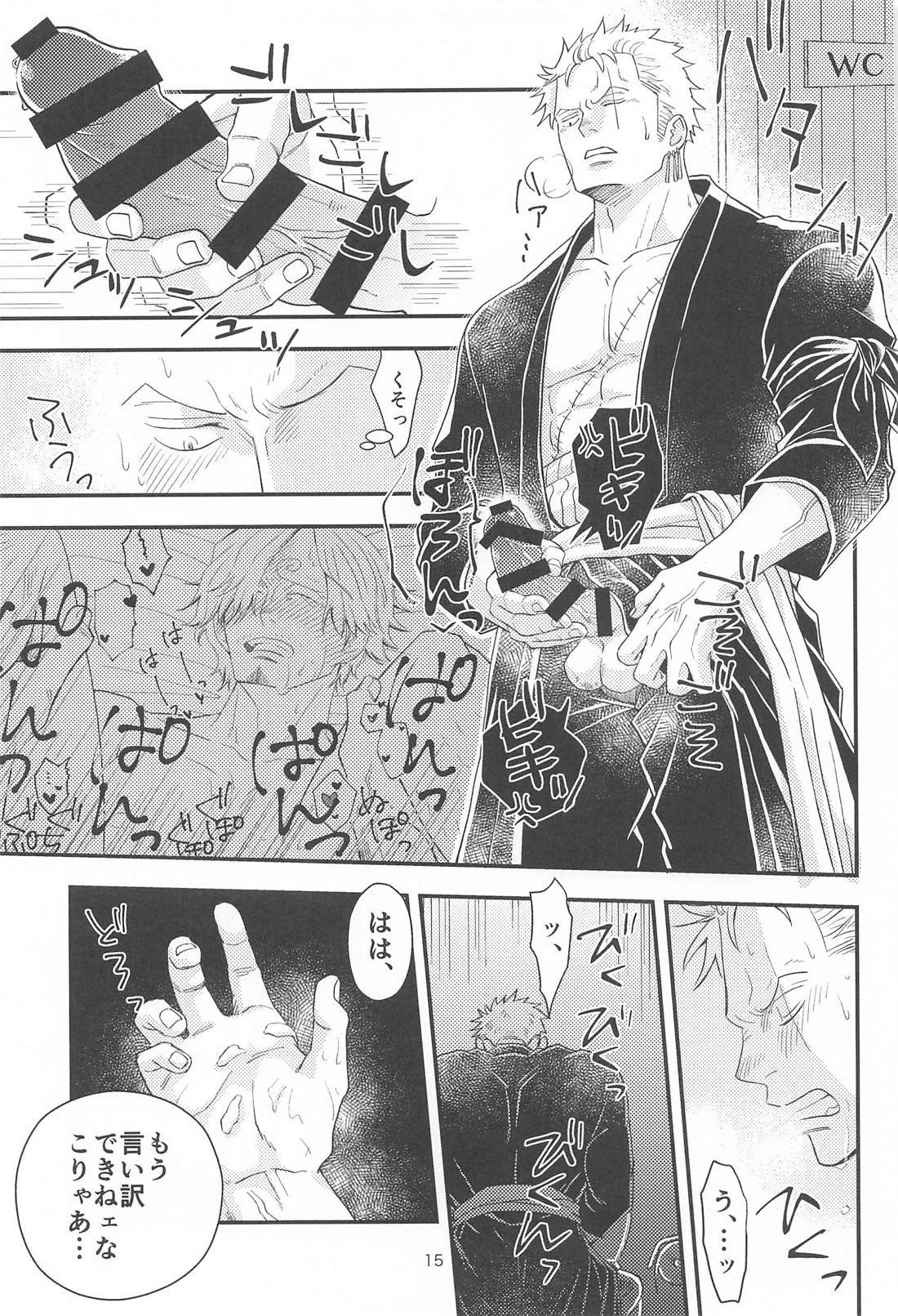 願い事なら星の数ほど【ONE PIECE/ゾロサン】 page 14