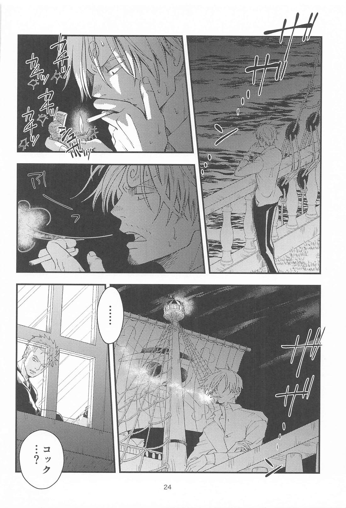 願い事なら星の数ほど【ONE PIECE/ゾロサン】 page 23