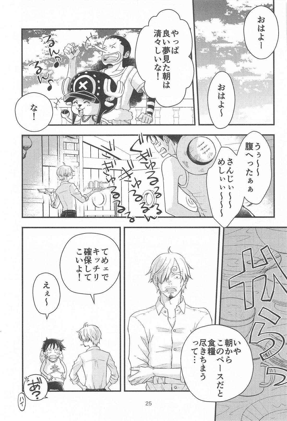 願い事なら星の数ほど【ONE PIECE/ゾロサン】 page 24