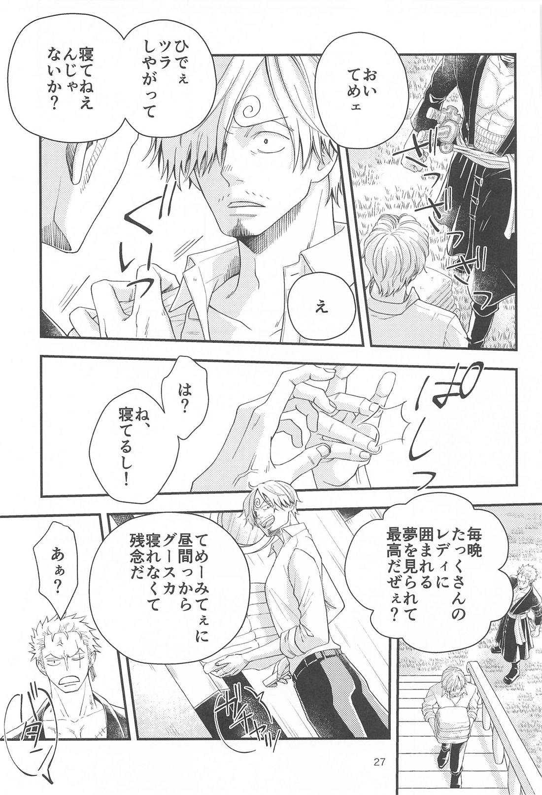 願い事なら星の数ほど【ONE PIECE/ゾロサン】 page 26