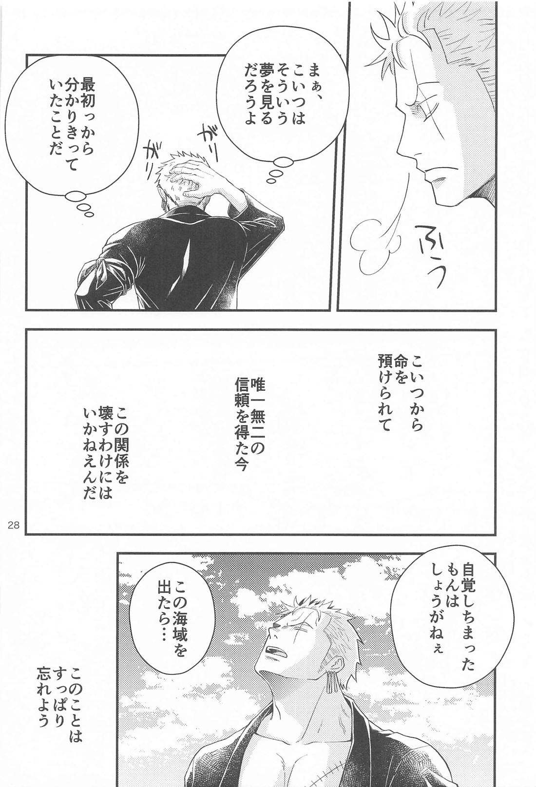 願い事なら星の数ほど【ONE PIECE/ゾロサン】 page 27