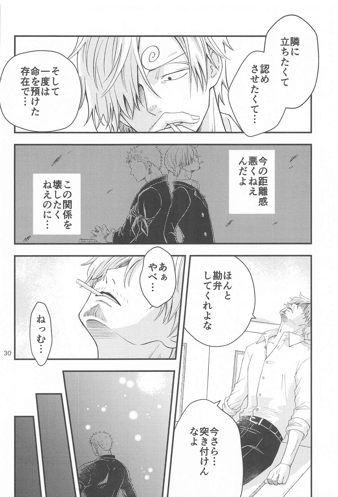願い事なら星の数ほど【ONE PIECE/ゾロサン】 page 29