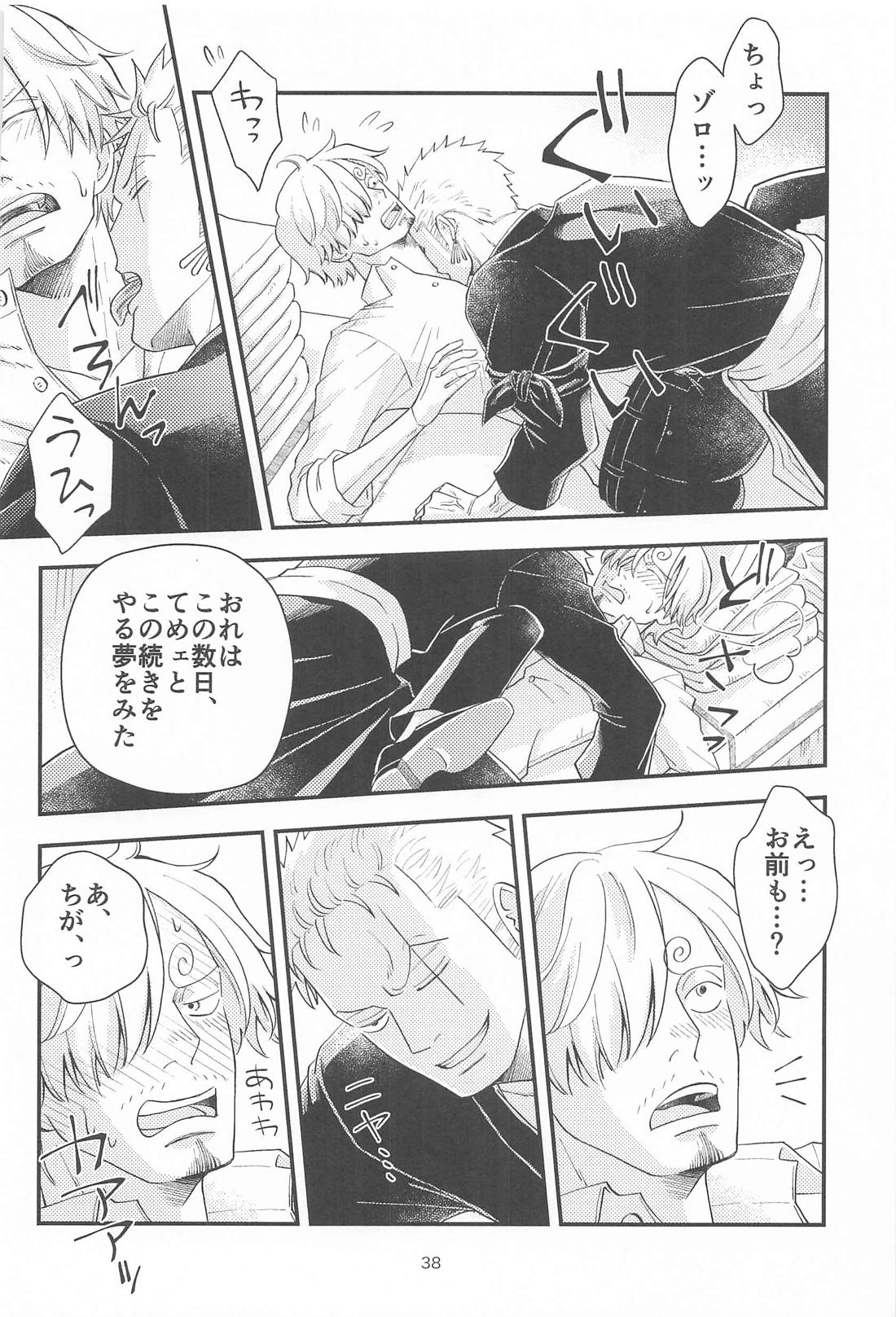 願い事なら星の数ほど【ONE PIECE/ゾロサン】 page 37
