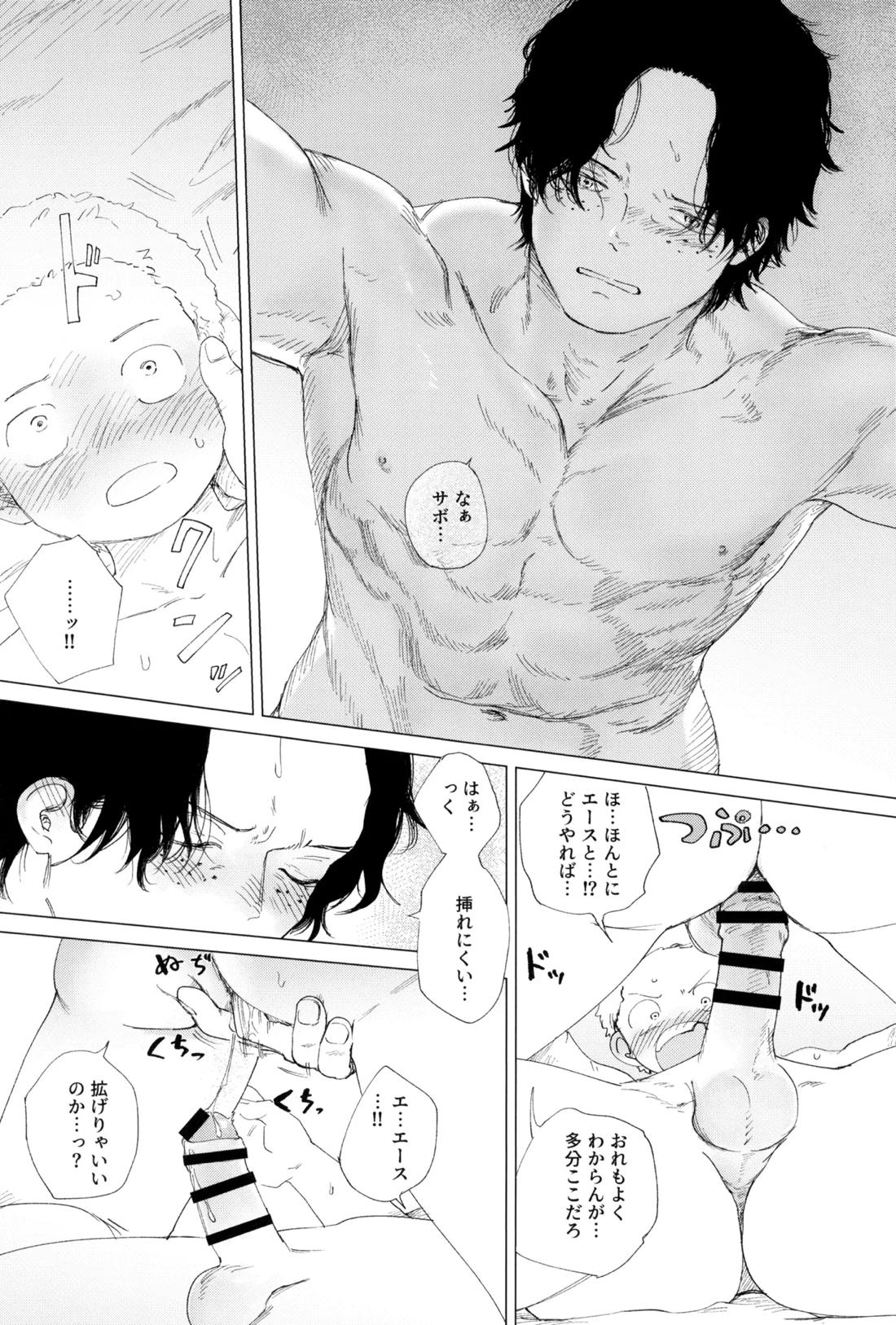 さよならは塞いだままで【ONE PIECE】 page 66