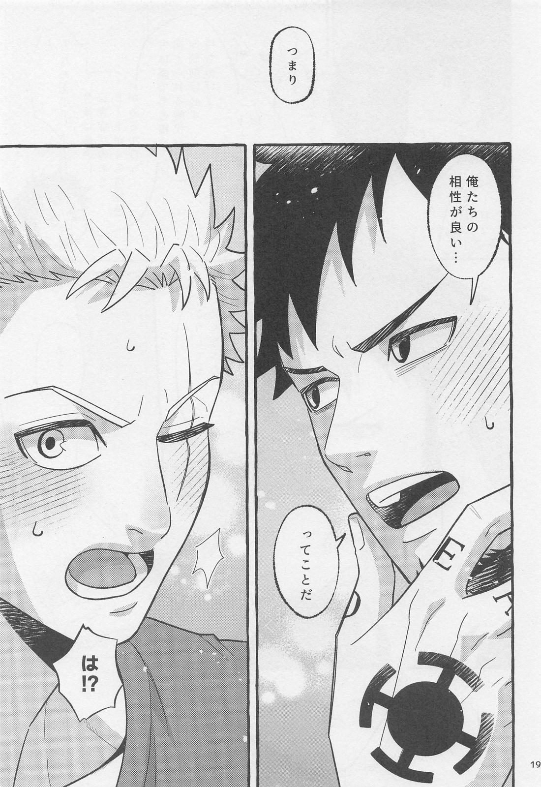 不可抗力destiny【ONE PIECE/ローゾロ】 page 18