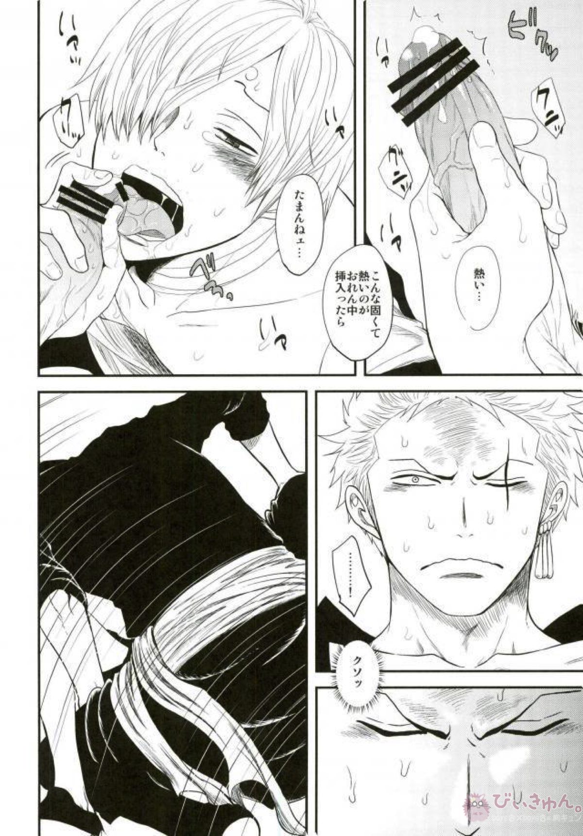 宵闇の獣【ONE PIECE/ゾロサン】 page 13