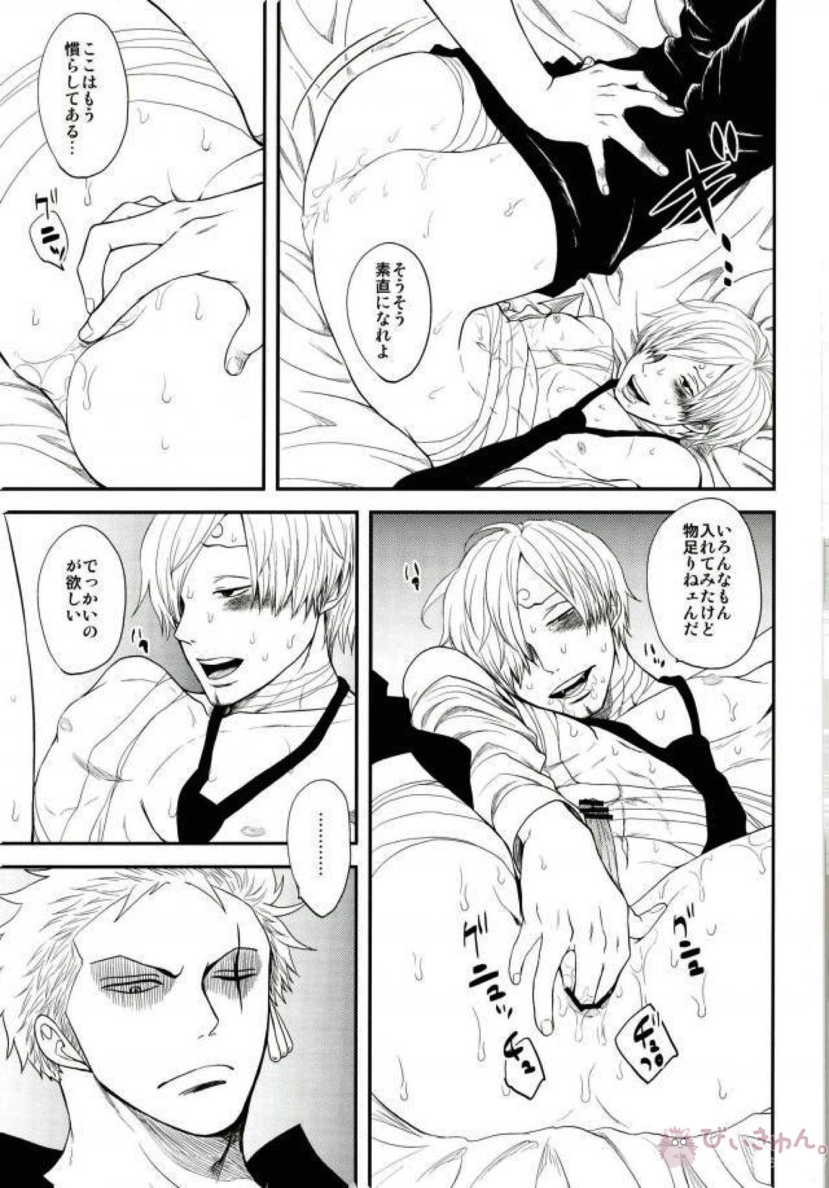 宵闇の獣【ONE PIECE/ゾロサン】 page 14