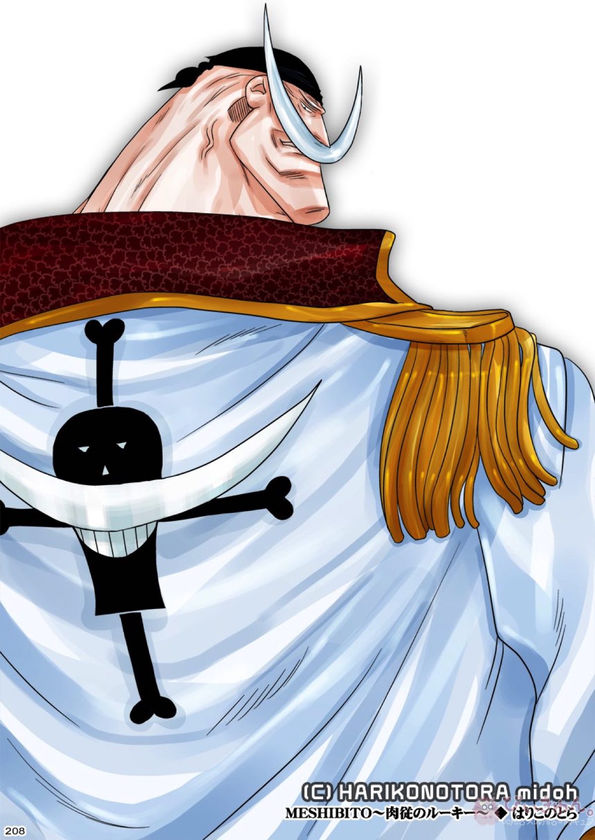 肉従のルーキー【ONE PIECE/白ひげ×ポートガス・D・エース】 page 207