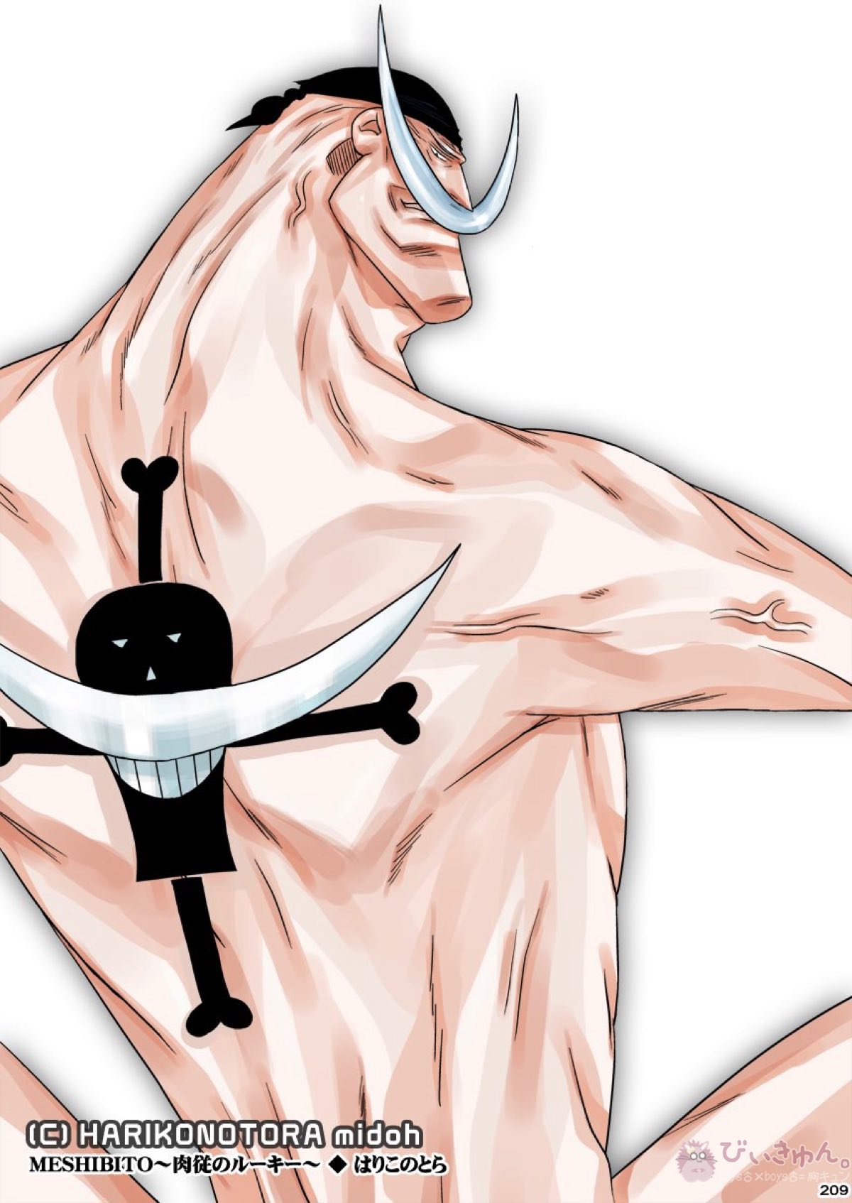 肉従のルーキー【ONE PIECE/白ひげ×ポートガス・D・エース】 page 208
