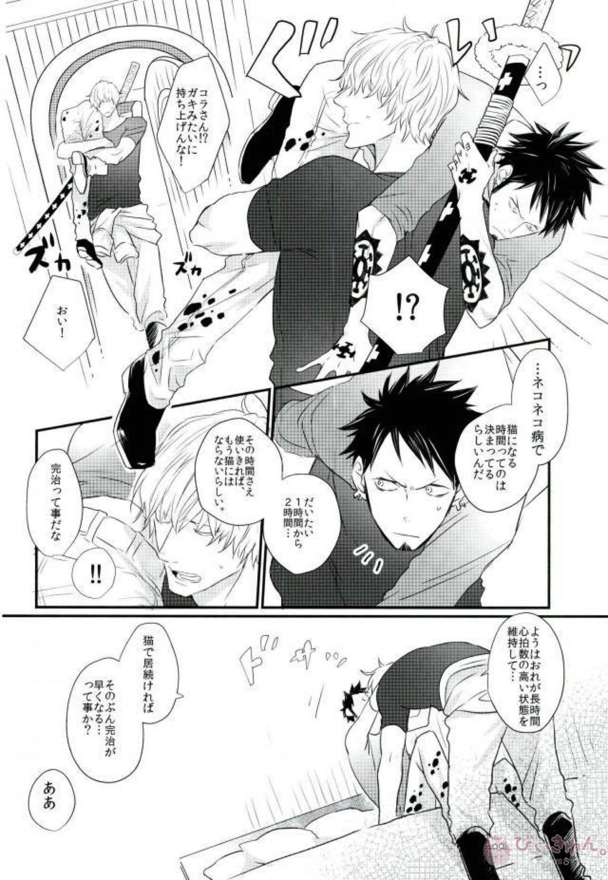 ネコロトリップ【ONE PIECE/コラロ】 page 13